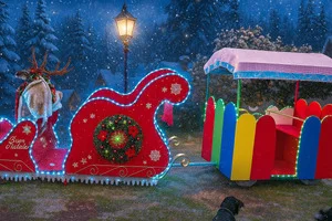 Didy e Carlotta Show – Circo Itinerante & Spettacoli Artistici per Eventi - 8