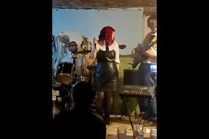 SOULFUL DRESS - Soul and blues live band - 8