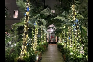 Allestimenti e Cieli Stellati a LED Luminarie
