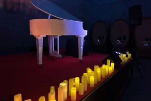 Paolo Drigo – Candlelight e White Piano, Eleganza e Incanto al Pianoforte - 2